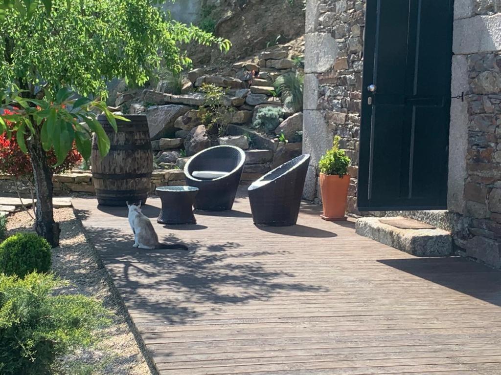 Hostal Bairro Do Casal - Turismo D'Aldeia Vila Nova de Foz Cõa Exterior foto